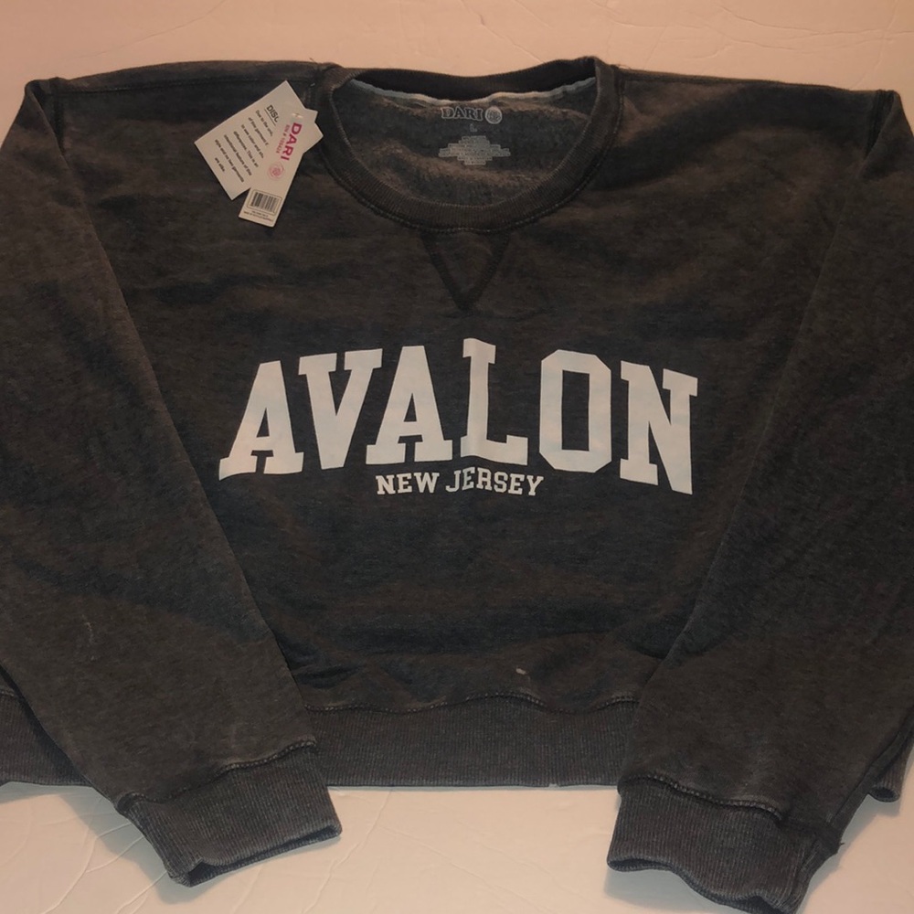 Avalon New Jersey Cropped Long Sleeve Crewneck Sweatshirt